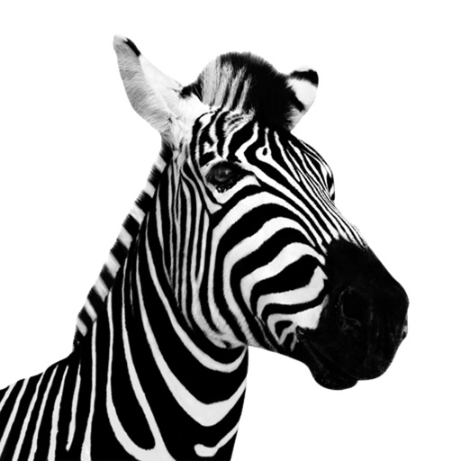 Investec