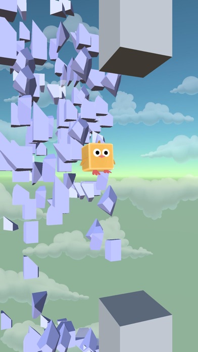 Bird Run - Flying IN The Sky screenshot 3