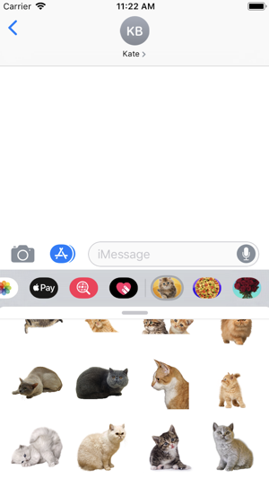 Cat-Emojis Stickers(圖3)-速報App