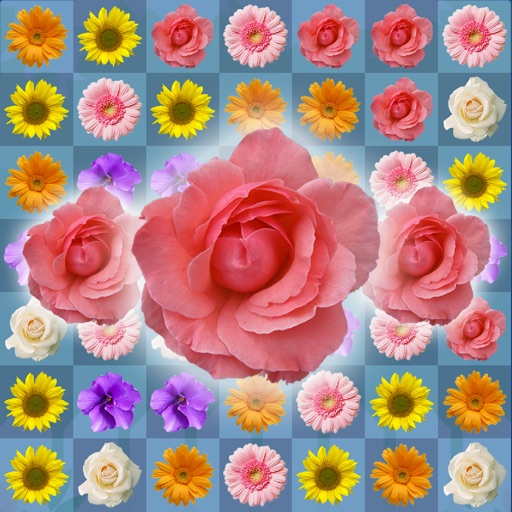 Blossom Link Mania iOS App