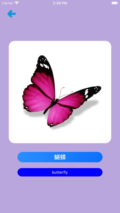 Learn Chinese Simple APP screenshot-8