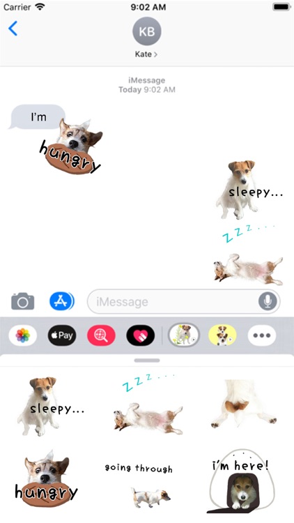 Jack Russell Animation 1 screenshot-3