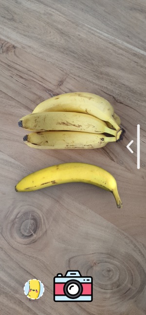 Banana For Scale - Pro