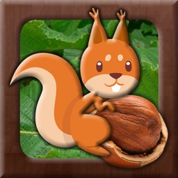 Orange forest squirrel