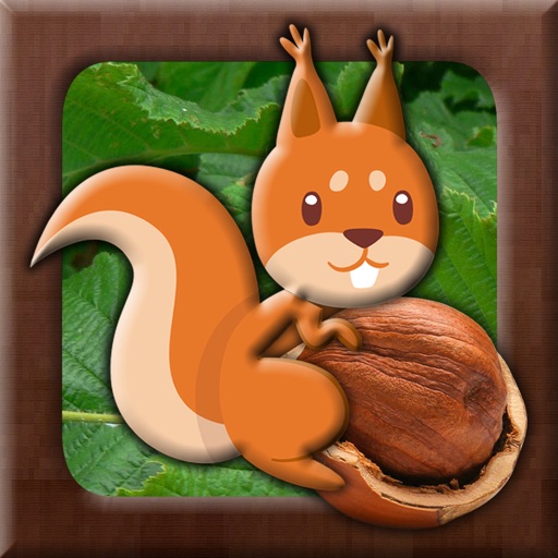 Orange forest squirrel