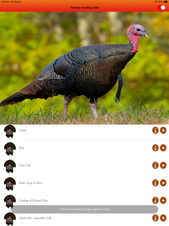 Screenshot #6 pour Turkey Hunting Calls -
