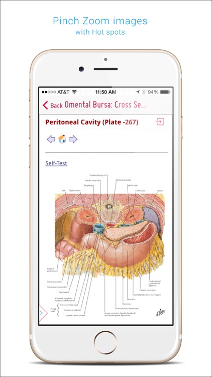 Skyscape Medical Library screenshot-4