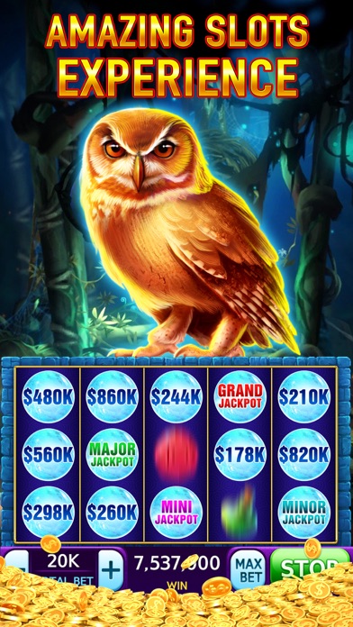 Slots: Vegas Casino Slot Games screenshot 4