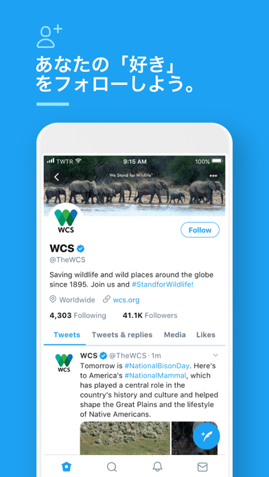 Twitter screenshot1
