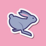 Burrow VPN Hide IP Fast Proxy
