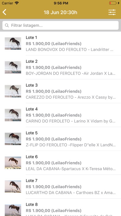 Leilão Friends