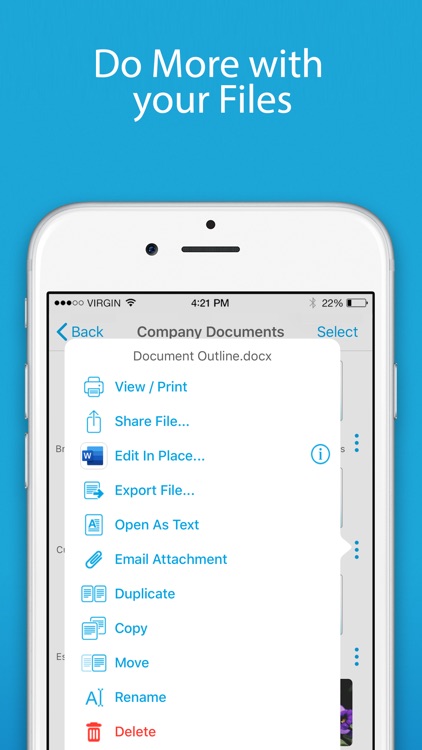 FileBrowser - Document Manager
