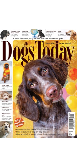 Dogs Today Magazine(圖6)-速報App