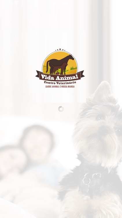 Vida Animal Centro Veterinario