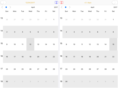 Dual Calendar - Day Counter screenshot 3