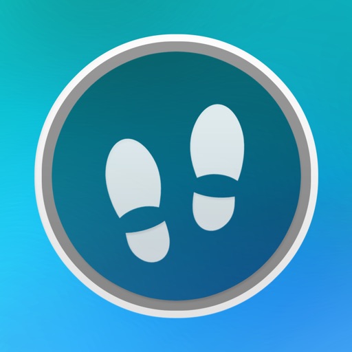 Pedometer Widgets Icon