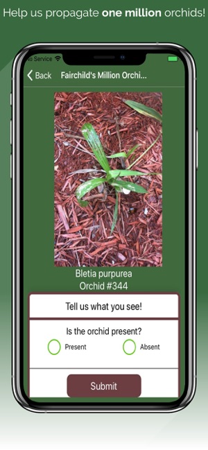 Fairchild Orchid Tracker(圖5)-速報App