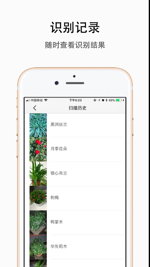 植物识别-拍照识花草树木