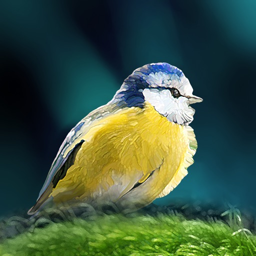 Birds of Britain and Europe iOS App