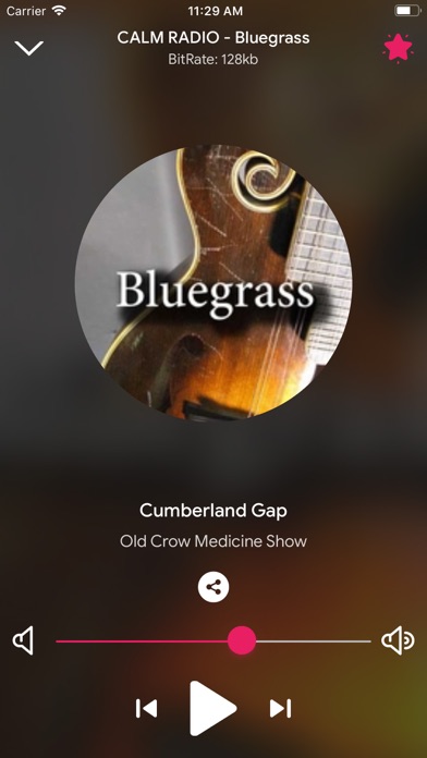 Country Music Radios Online screenshot 3