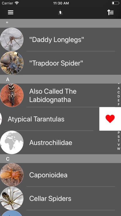 Spiders 2.0 screenshot-8