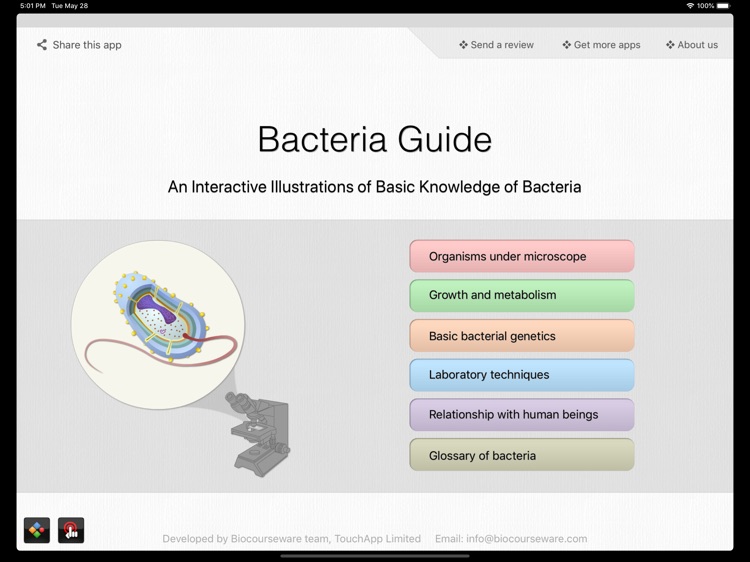 Bacteria Guide