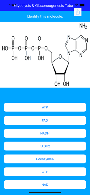 Glycolysis Glucogenesis Tutor(圖9)-速報App