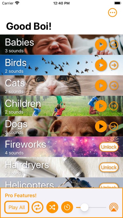 Good Boi! Puppy Sound Training