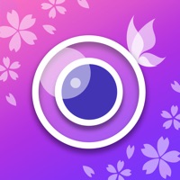 YouCam Perfect: Photo Editor apk