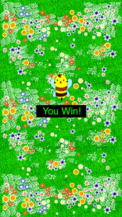 Hornet Bee screenshot-3