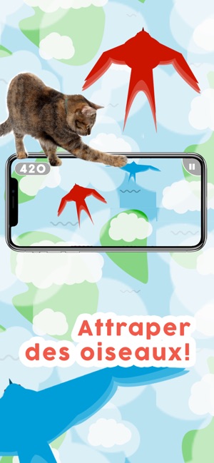 Jeux Pour Les Chats Dans L App Store