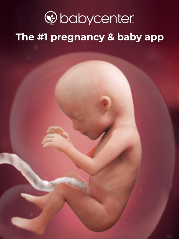 My Pregnancy Today | BabyCenter screenshot