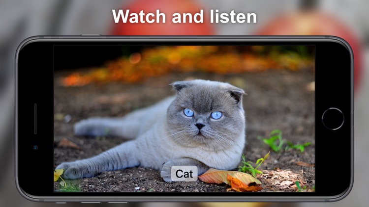 Sound App for Kids