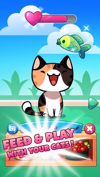 Cat Game - The Cats Collector!