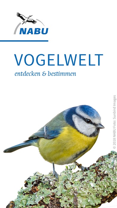 Win 8.1 kennenlernen