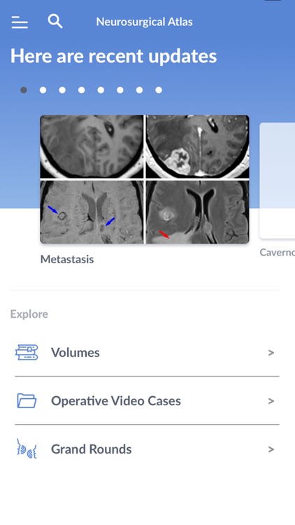 Neurosurgical Atlas