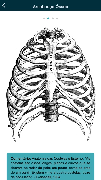 Thorax - thoracic radiology screenshot-9