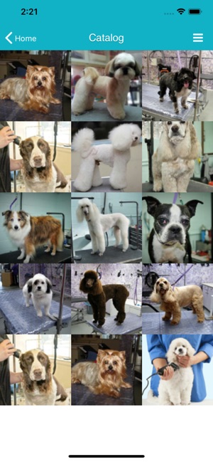 TapGroom - Pet Grooming Salon(圖9)-速報App