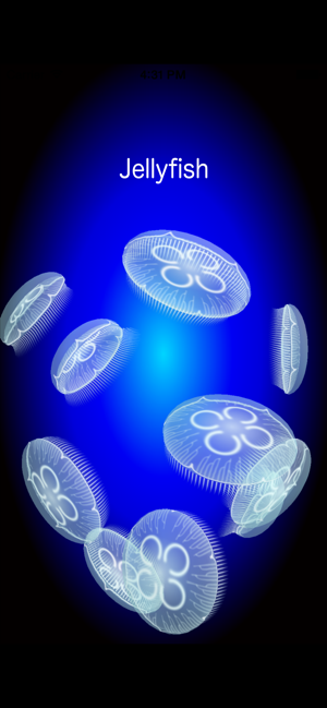 Jellyfish Simulator