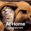 At Home Veterinary Care