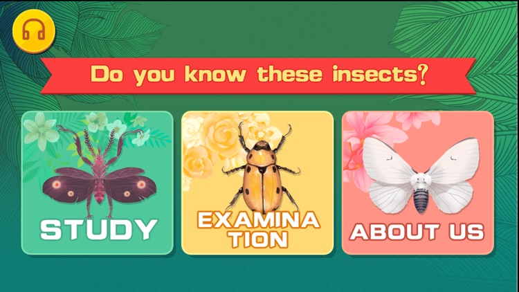 Do you know these insects?