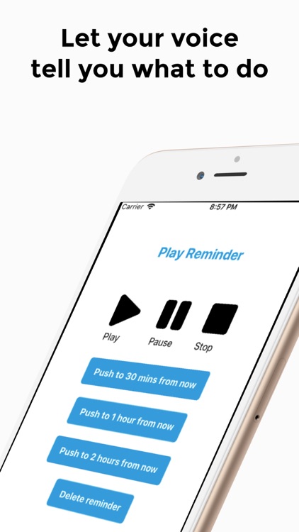 Quick Voice Reminder screenshot-4