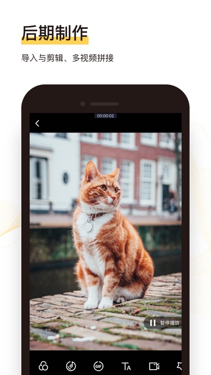 悟空亲测-视频工具