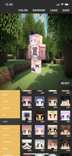 Screenshot 4 Custom Skin Creator iphone