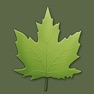Get Trees & shrubs for iOS, iPhone, iPad Aso Report