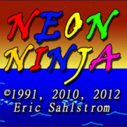 Neon Ninja