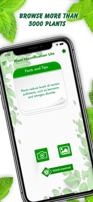 Plant Identification Lite