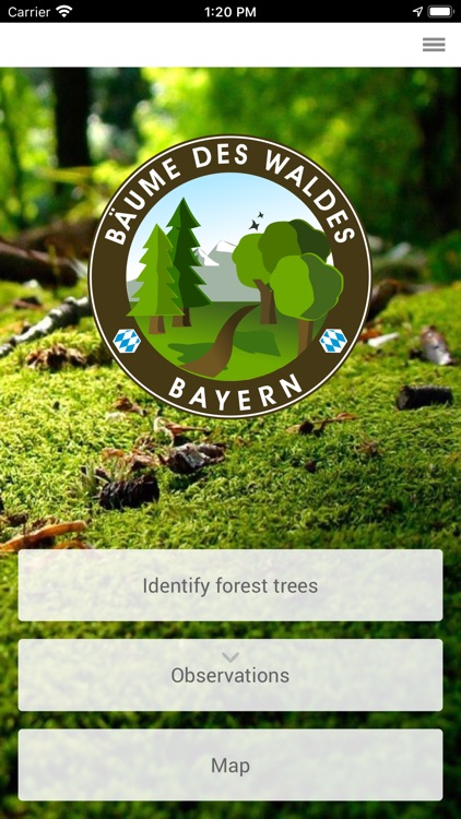 Trees of Bavaria's forests