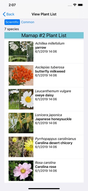 Virginia Wildflowers(圖7)-速報App