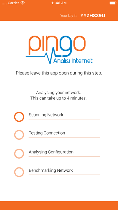 Pingo Analisi Internet screenshot 4